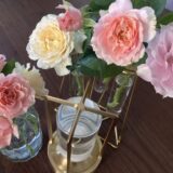 ロサオリエンティスのバラで庭を満たす未来