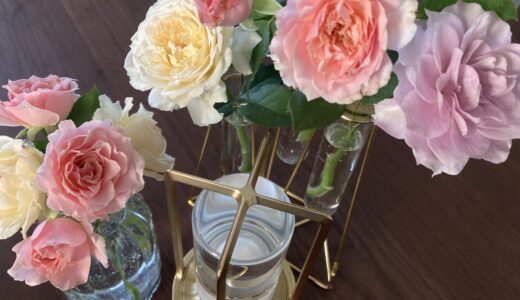 ロサオリエンティスのバラで庭を満たす未来