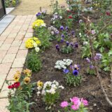 気づけば一日中庭にいた。春の草花と土の匂いに包まれて