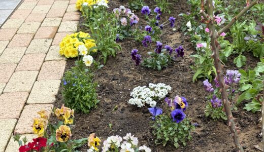 気づけば一日中庭にいた。春の草花と土の匂いに包まれて