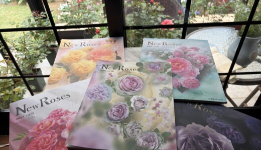 New Roses vol.39 表紙は「コフレ」