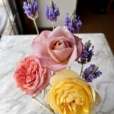 ５月９日。ライフとリュシオールとうののさららと。